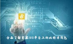 全面了解苹果iOS平台上的