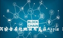 如何安全有效地租用美区