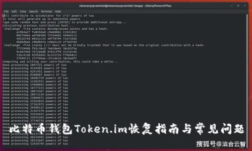 比特币钱包Token.im恢复指南与常见问题