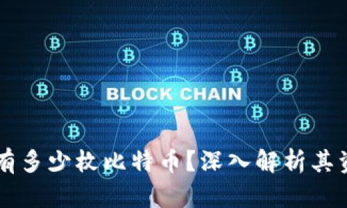 中本聪究竟持有多少枚比特币？深入解析其资产背后的谜团