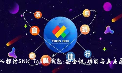 深入探讨SNK Token钱包：安全性、功能与未来展望