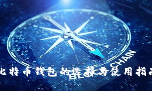 比特币钱包的选择与使用指南