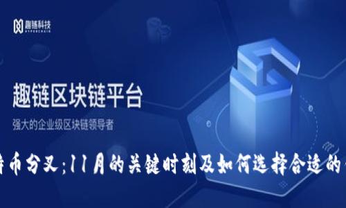 比特币分叉：11月的关键时刻及如何选择合适的钱包