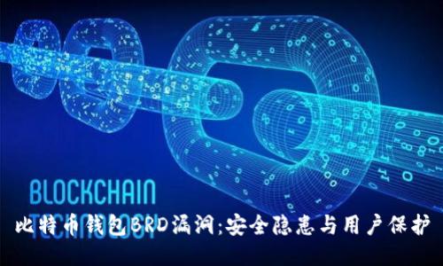 比特币钱包BRD漏洞：安全隐患与用户保护