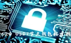 TRC20 USDT节点钱包搭建指南