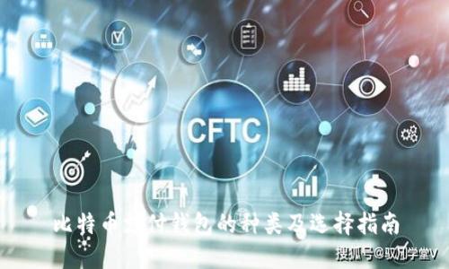 比特币支付钱包的种类及选择指南