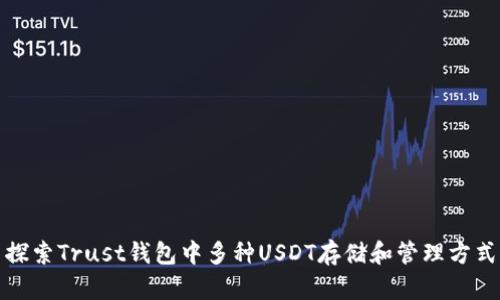 探索Trust钱包中多种USDT存储和管理方式