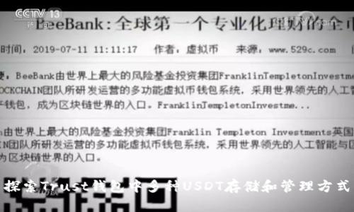 探索Trust钱包中多种USDT存储和管理方式