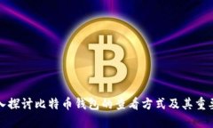 深入探讨比特币钱包的查