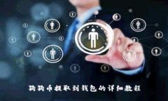 狗狗币提取到钱包的详细