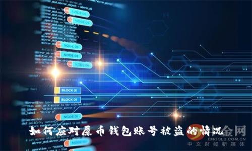 如何应对屎币钱包账号被盗的情况