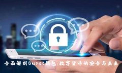 全面解析Burst钱包：数字货