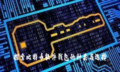 探索比特币软件钱包的种类与选择