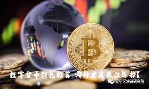 数字货币钱包推荐：哪种才是最佳选择？
