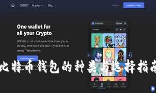比特币钱包的种类与选择指南