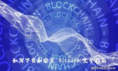 如何下载和安装 BitDock：完