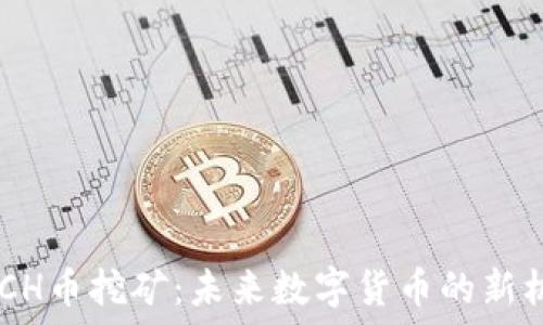   
DMCH币挖矿：未来数字货币的新机遇