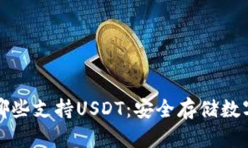 区块链硬件钱包哪些支持USDT：安全存储数字资产的最佳选择