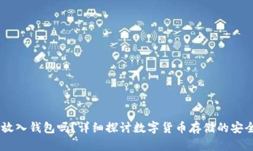 USDT可以放入钱包吗？详细探讨数字货币存储的安全性与选择