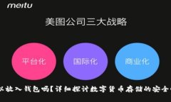 USDT可以放入钱包吗？详细