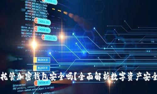 自托管加密钱包安全吗？全面解析数字资产安全性