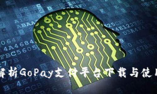 全面解析GoPay支付平台下载与使用指南