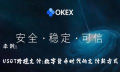 示例:USDT跨境支付：数字货