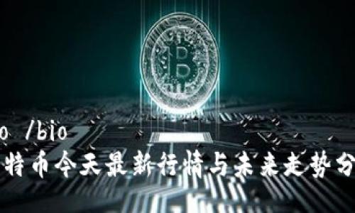 bio /bio
比特币今天最新行情与未来走势分析