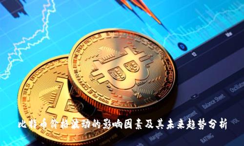 比特币价格波动的影响因素及其未来趋势分析