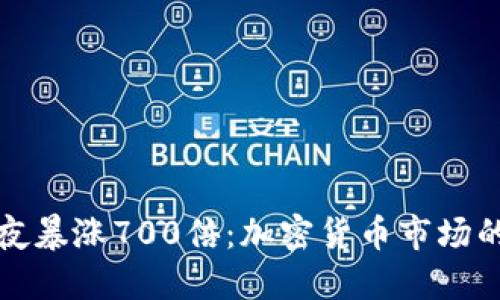 狗狗币一夜暴涨700倍：加密货币市场的一场狂欢