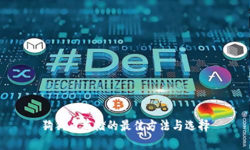 狗狗币存储的最佳方法与选择