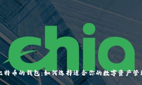 支持比特币的钱包：如何选择适合你的数字资产管理工具