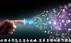 比特币钱包充值全攻略：简单易懂的操作指南