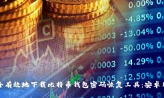 如何安全有效地下载比特币钱包密码恢复工具：