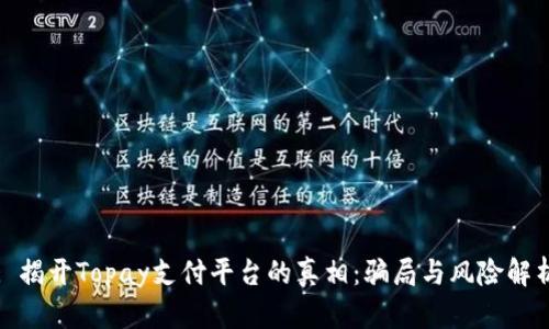: 揭开Topay支付平台的真相：骗局与风险解析