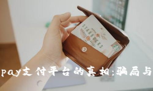 : 揭开Topay支付平台的真相：骗局与风险解析