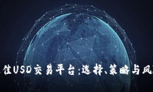 探索最佳USD交易平台：选择、策略与风险管理