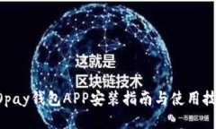 GOpay钱包APP安装指南与使用技巧