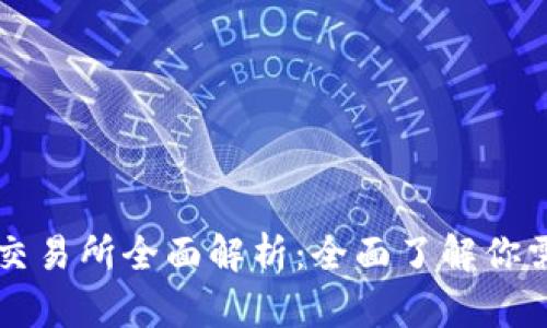 数字货币交易所全面解析：全面了解你需要的平台