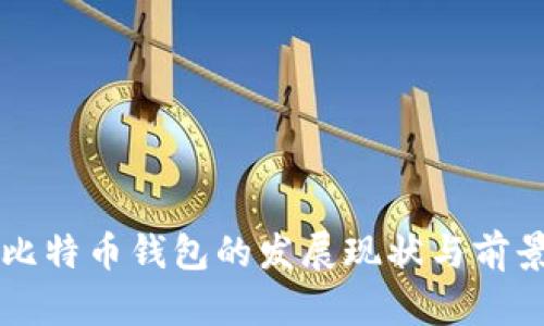 国产比特币钱包的发展现状与前景分析