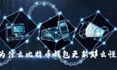 为什么比特币钱包更新那