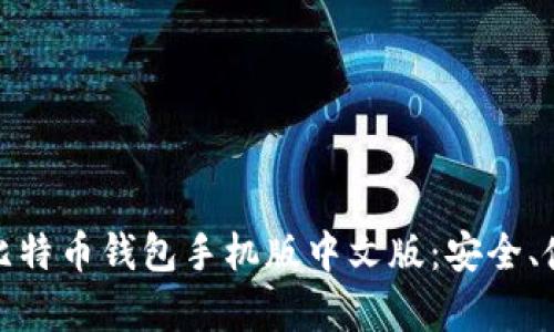 全面解析比特币钱包手机版中文版:安全、使用与选择