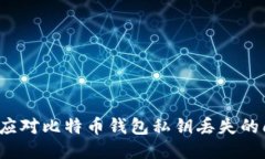 如何应对比特币钱包私钥