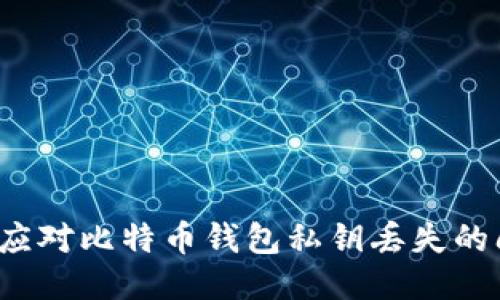 如何应对比特币钱包私钥丢失的问题?