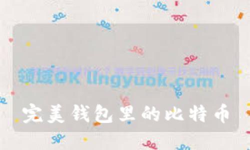 完美钱包里的比特币