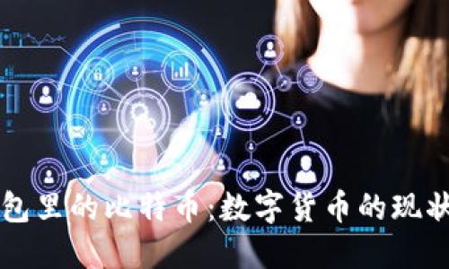 美国钱包里的比特币:数字货币的现状与未来