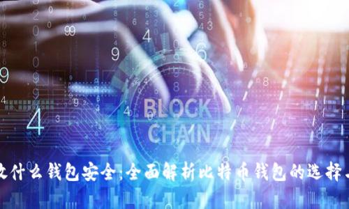 比特币放什么钱包安全:全面解析比特币钱包的选择与安全性
