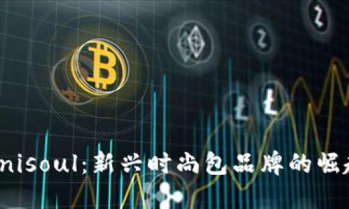 Unisoul：新兴时尚包品牌的崛起