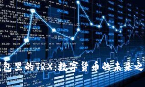 钱包里的TRX:数字货币的未来之路