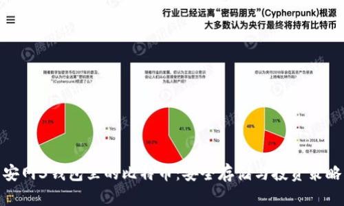 安网3钱包里的比特币：安全存储与投资策略
